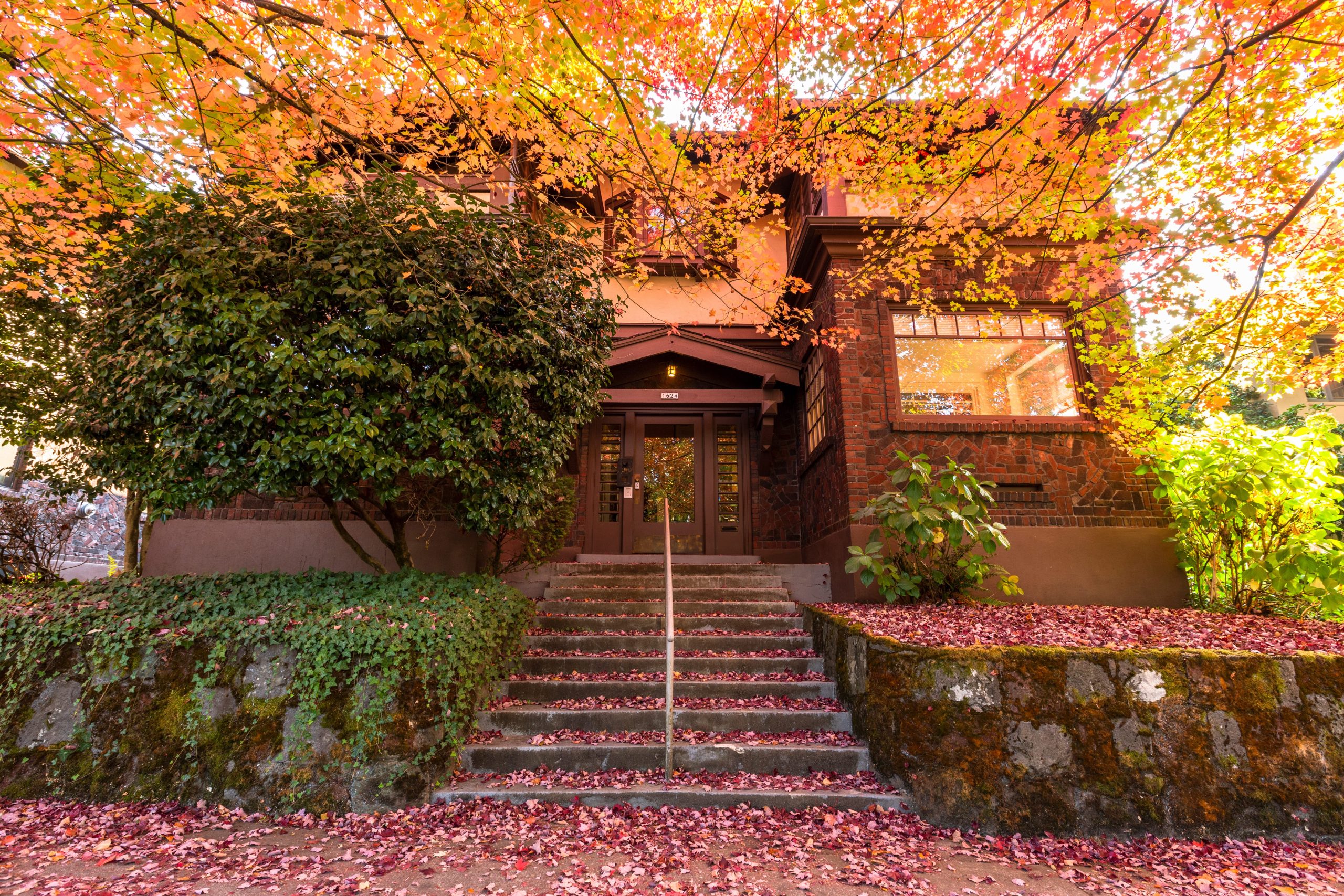 Beautiful maple trees in vibrant fall foliage near a historic home in Portland, Oregon. The ground is covered in a blanket of red leaves, creating a picturesque autumn scene in the Pacific Northwest